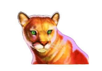 Cougar Wolf Gold